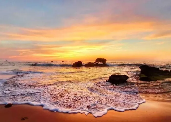 منزل للإقامة Privadas - - Bano Compartido Con Anfitriones سوانثيس